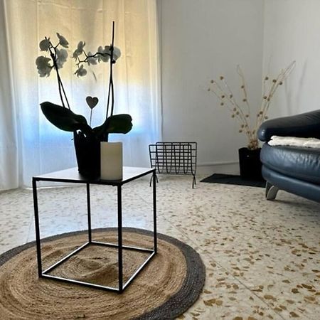 Appartement St Laurent 생 로랑 드 라 살랑크 외부 사진
