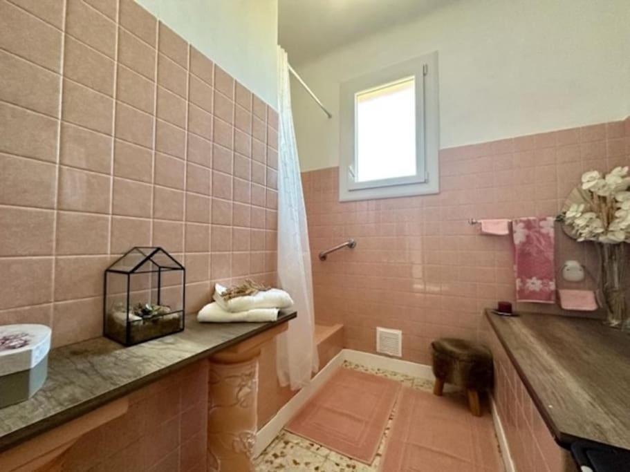 Appartement St Laurent 생 로랑 드 라 살랑크 외부 사진
