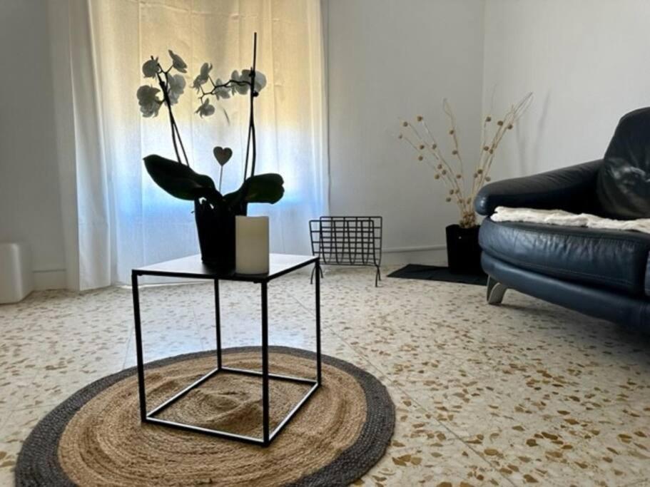 Appartement St Laurent 생 로랑 드 라 살랑크 외부 사진